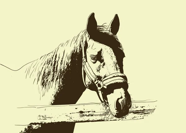 at portresi, baş dizgin, bej arka plan üzerinde snaffle kafa bandı izole kahverengi renk. kroki, anahat, taslak çizim, Tasarım ve dövme için Resim. Vektör