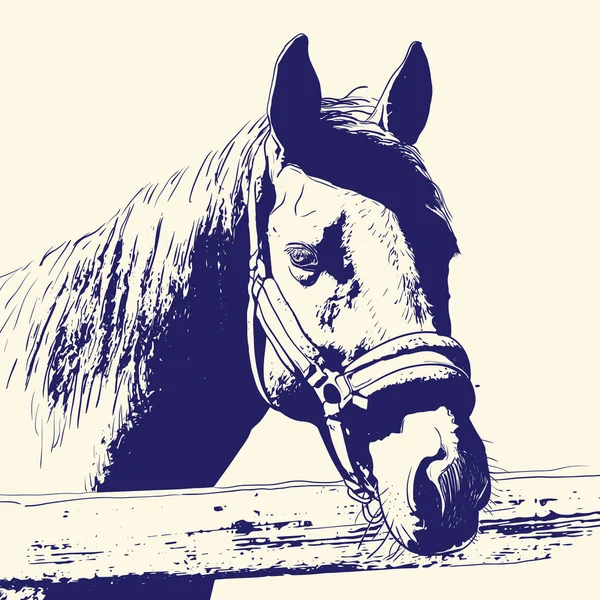 Pferdeporträt, Zaumzeug auf dem Kopf, Trense Stirnband blaue Farbe auf beigem Hintergrund. Skizze, Skizze, Entwurf, Bild für Design und Tätowierung. Vektor — Stockvektor