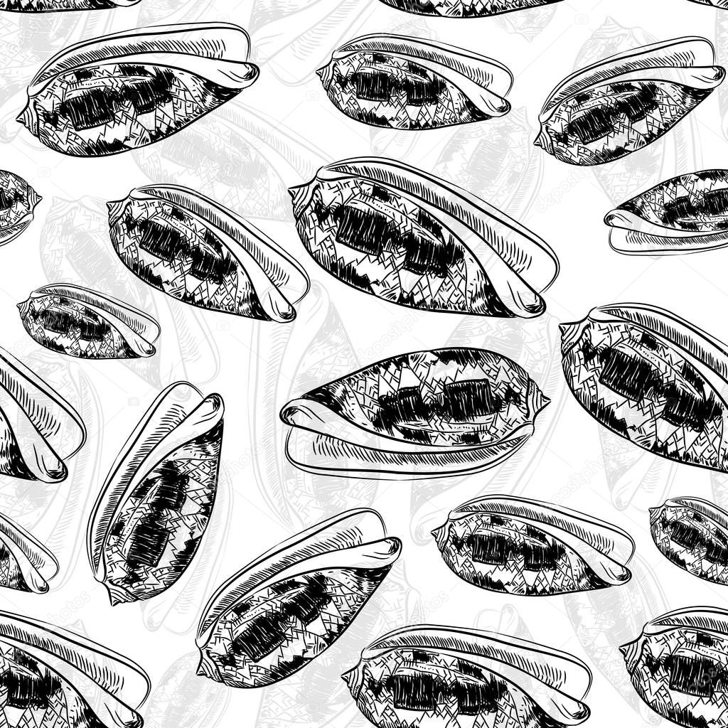 seamless pattern Volutidae, common name volutes, are a taxonomic family of predatory sea snails Unique shells, molluscs. Sketch black contour on white background. Vector
