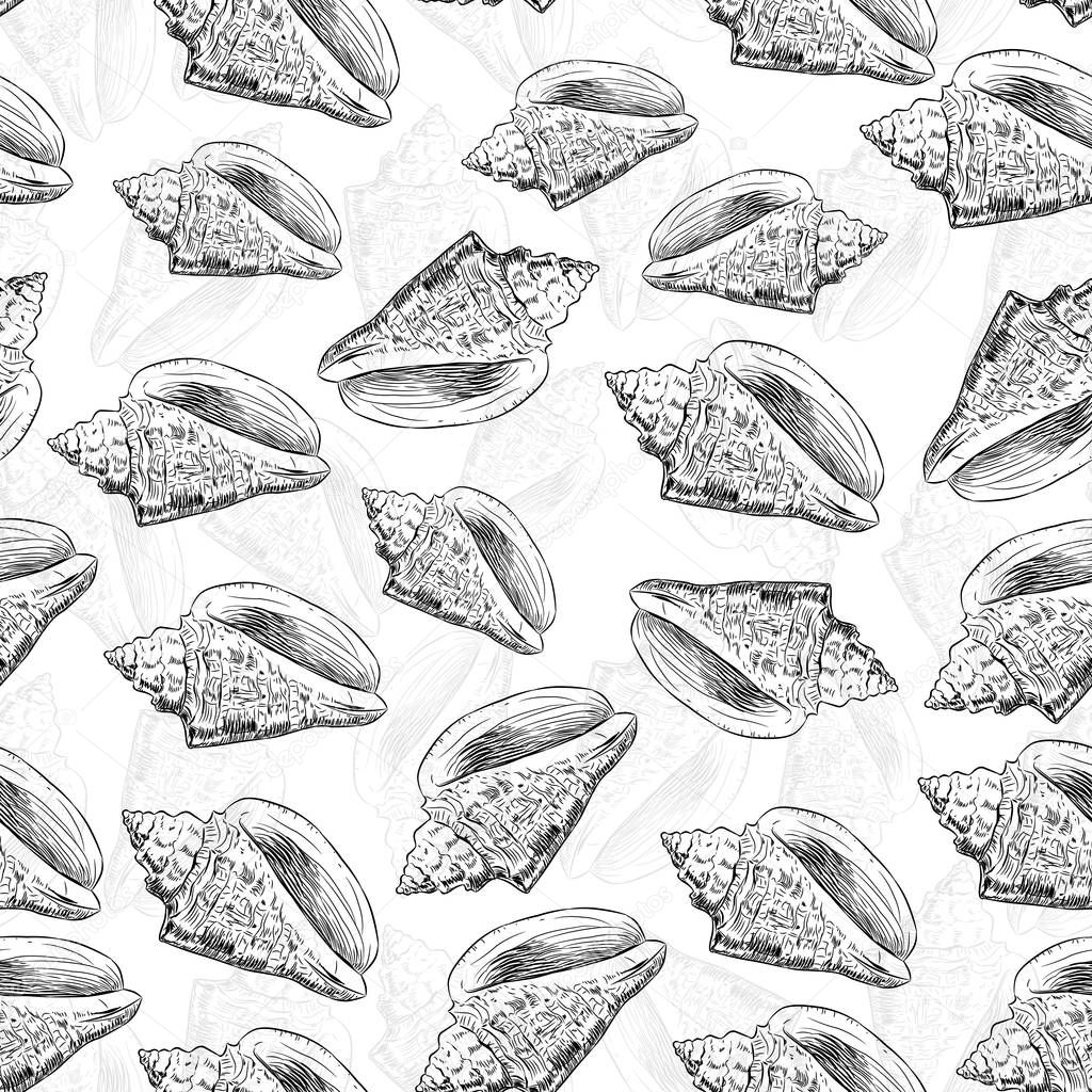 Volutidae, common name volutes, are a taxonomic family of predatory sea snails. Sketch black contour isolated on white background. Can be used for fabrics, wallpapers. Vector