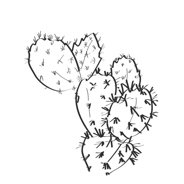 Cactus with flowers sketch, black contour isolated on white background. simple ornament, Can be used for card banner template. Vector — Stock Vector