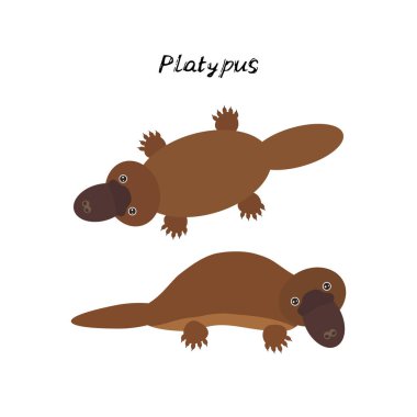 cute Kawaii Australian platypus, isolated on white background. Can be used for cards for preschool children games, learning words. Vector illustration clipart
