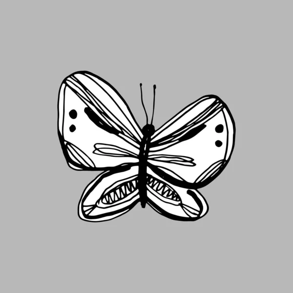 カードバナーポスター蝶 スケッチマーカー フリーハンドのドアラインを描くスキャンディナヴィアスタイルの背景グランジのテクスチャ季節の保育園の装飾の傾向 黒白灰色 ぬり絵 ベクターイラスト — ストックベクタ