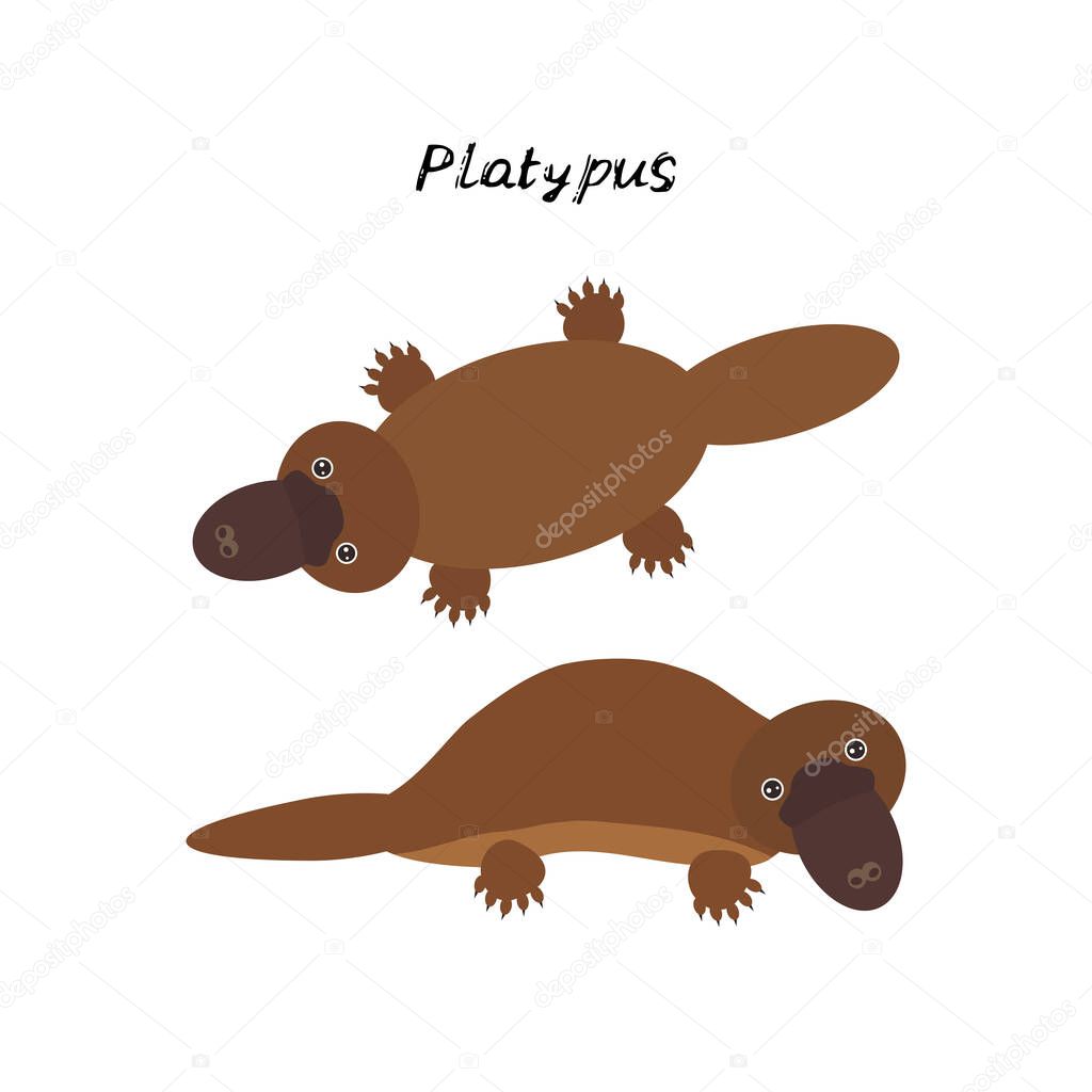 cute Kawaii Australian platypus, isolated on white background. Can be used for cards for preschool children games, learning words. Vector illustration