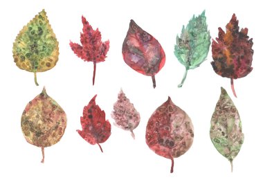 Sonbahar yaprakları suluboya seti, boya lekeleri..