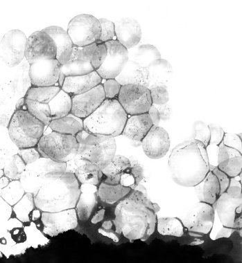 Soyut baloncuklu suluboya beyaz arka planda izole edilmiş siyah gri mürekkep. Lekeli grafik konseptini spreyle. Taş sünger taşı, lav volkanı, gözenekli yapının doğası.