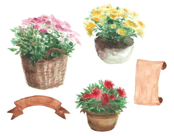 Yellow Pink Red Flower Flower Pot Brown Beige Ribbon Set — Stock Photo, Image