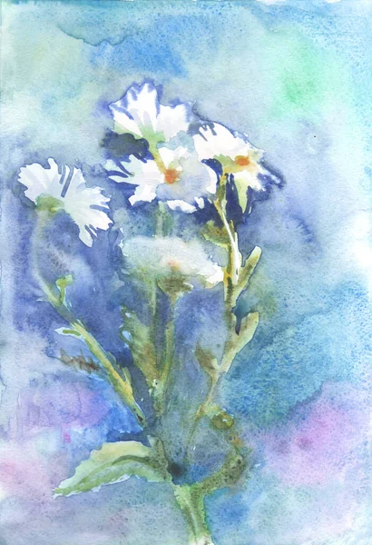 Watercolor Drawing White Daisies Blue Green Background Beautiful Bouquet Painting — Stock Photo, Image