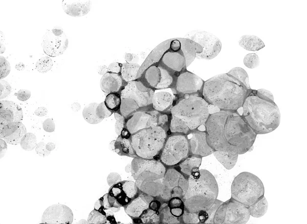 거품은 배경에 잉크에 물감을 뿌린다 그래픽 컨셉을 용암화 다공질 그림의 — 스톡 사진