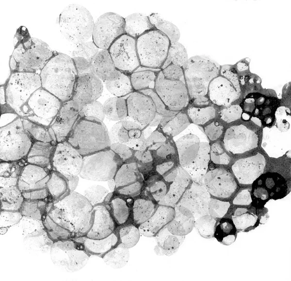 거품은 배경에 잉크에 물감을 뿌린다 그래픽 컨셉을 용암화 다공질 그림의 — 스톡 사진