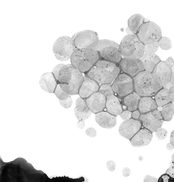 Acuarela Abstracta Burbuja Salpicadura Pintura Tinta Gris Negro Aislado Sobre —  Fotos de Stock