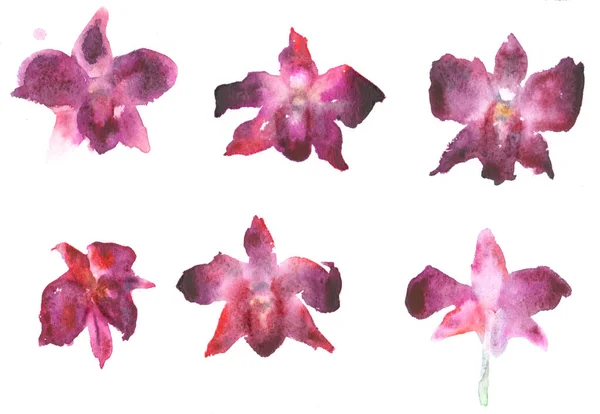 Vacker Akvarell Rosa Orkidé Hand Dras Set Isolerad Vit Bakgrund — Stockfoto