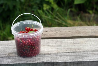 Tahta masada beyaz plastik bardakta olgun kırmızı üzümler.