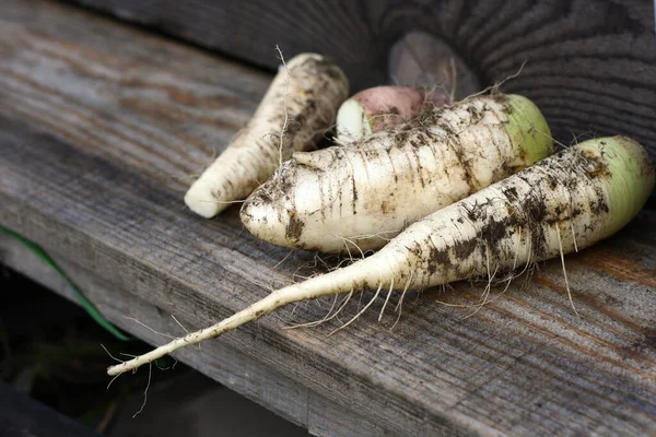 Tablones Madera Rábano Blanco Daikon Textura Madera Gris Vieja — Foto de Stock