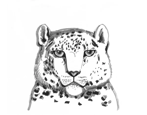 雪豹盎司 Snow Leopard Ounce 是一种原产于中亚和南亚山脉的大型猫科动物 分布于阿富汗东部 蒙古和中国西部 速写标记 速写绘图 — 图库照片