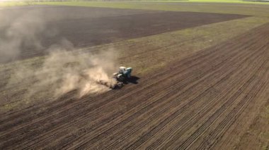 Hava kuşları, ayçiçeği ekmeden önce traktörün tarlaları sabanla sürdüğü görüntülere göz atıyor.