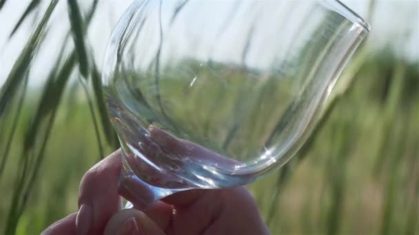 Lambat bergerak menuangkan anggur merah dari botol ke gelas piala di alam antara rumput hijau — Stok Video