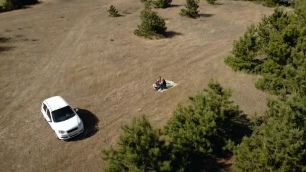 Aerial Joven hombre y mujer disfrutando de una cita en un bosque de pinos en un tranquilo día de verano — Vídeos de Stock