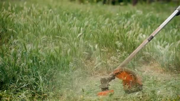 Primo piano lavoratore maschile mantenendo trimmer elettrico e tagliare l'erba al rallentatore — Video Stock