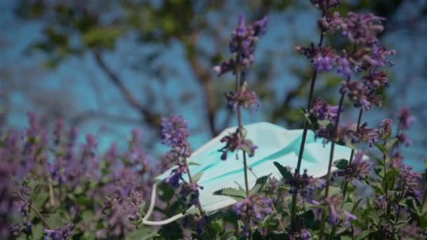 Zbliżenie ochronnej maski medycznej zapobiegającej rozprzestrzenianiu się koronawirusu w kwiatach lawendy — Wideo stockowe