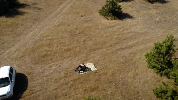 Çam ağaçlarının yakınındaki kuru çimenlerin üzerinde oturan genç çiftin havadan çekilmiş görüntüleri. — Stok video