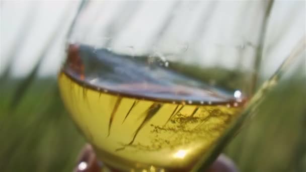 Tangan memegang kaca dengan anggur putih dan matahari bersinar indah melalui piala — Stok Video