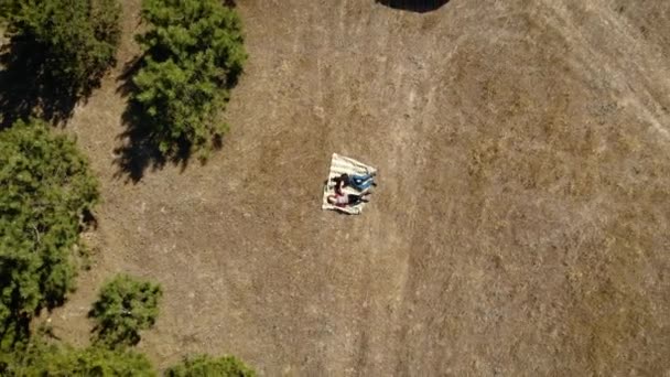 Top pandangan drone muda romantis pasangan pada tanggal berbaring di plaid dekat hutan dan mobil putih mereka — Stok Video