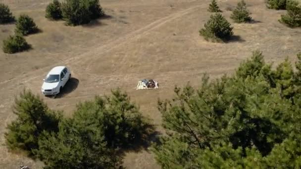 Vista aérea drone de jovens caucasianos aventura pessoas têm descanso perto de pinhal e carro branco — Vídeo de Stock