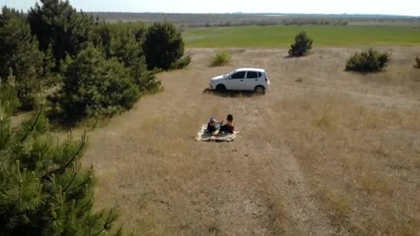 Bakifrån flygfoto av unga par på romantisk dag sitter på rutig och njuta av stunder — Stockvideo