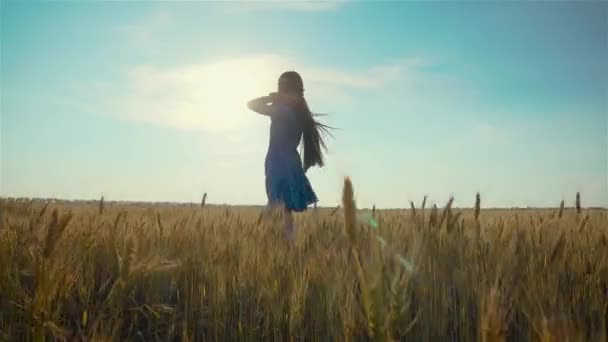 Chica joven felizmente caminando a través de trigo o campo de cebada tocando con la mano su largo cabello oscuro al atardecer — Vídeo de stock