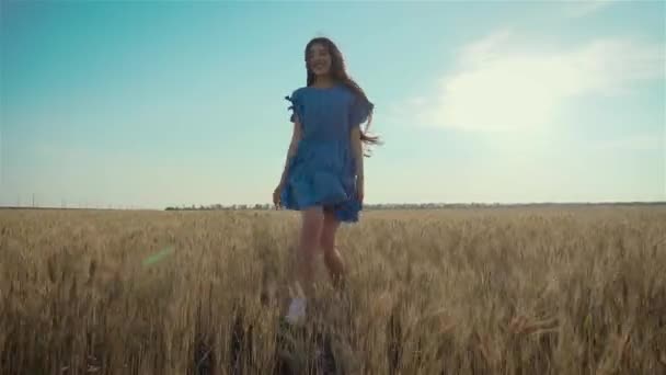 Ung kvinna som springer genom fält med gult torrt vete. Vacker bekymmerslös flicka njuter av naturen på landsbygden äng — Stockvideo