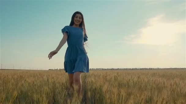Ρομαντική και ανέμελη νεαρή γυναίκα που τρέχει στο χωράφι με το σιτάρι απολαμβάνοντας την ελευθερία και την ηρεμία στην αγροτική φύση κατά τη διάρκεια των διακοπών στο ηλιοβασίλεμα σε αργή κίνηση — Αρχείο Βίντεο