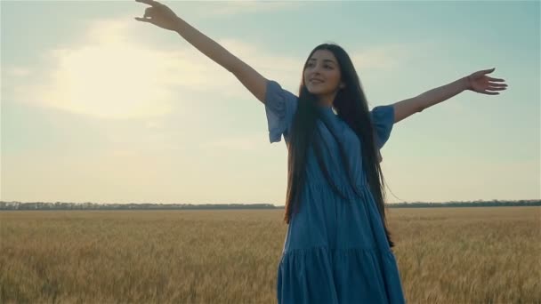 Portrait of cute young woman standing on wind in wheat field with hands up and enjoying freedom and serenity — Stock Video