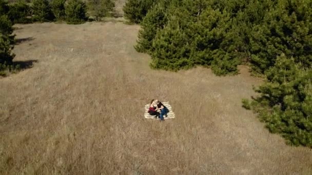 Drone άποψη του τουριστικού ζευγαριού χαλαρώνει και φιλιά σε καρό σε ξηρό γρασίδι κοντά στο πευκοδάσος την άνοιξη — Αρχείο Βίντεο