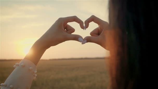 黄土中美丽的年轻女子在日落时手牵着心形的手的画像 — 图库视频影像