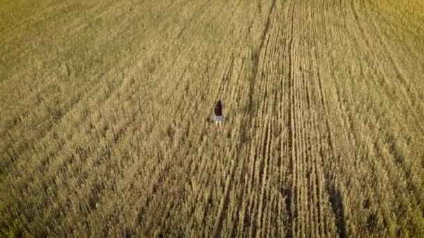 Drone πετούν γύρω από όμορφη νεαρή γυναίκα με μακριά σκούρα μαλλιά στέκεται ακόμα στο κίτρινο πεδίο. Ρομαντικό, ονειρικό και εμπνευσμένο βίντεο — Αρχείο Βίντεο