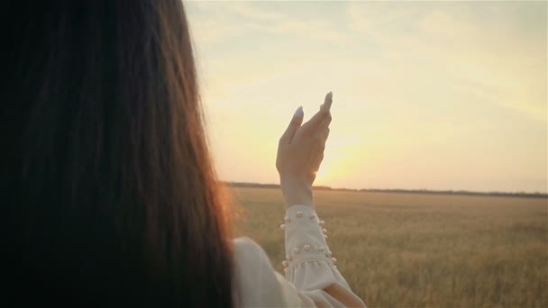 Hermosa mujer joven bonita tratando de tocar el sol con su mano en shinedown en el campo amarillo — Vídeo de stock