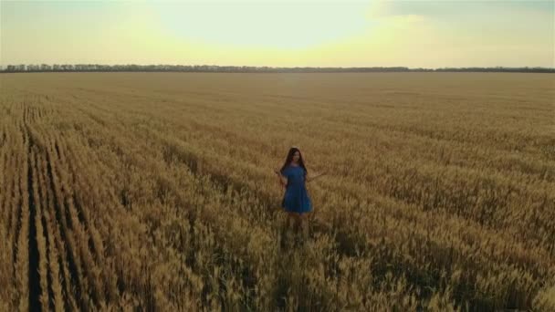 Vista aérea de la joven caminando felizmente por el campo de trigo o cebada tocando con la mano su largo cabello oscuro al atardecer — Vídeos de Stock