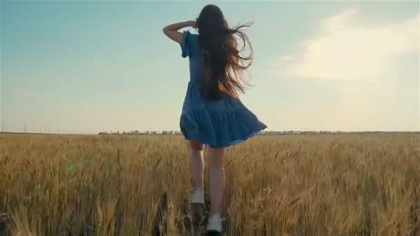 Ung smal kvinna med långt mörkt hår körs av jordbruks vete fält och hon är oigenkännlig eftersom inte visa ansikte — Stockvideo