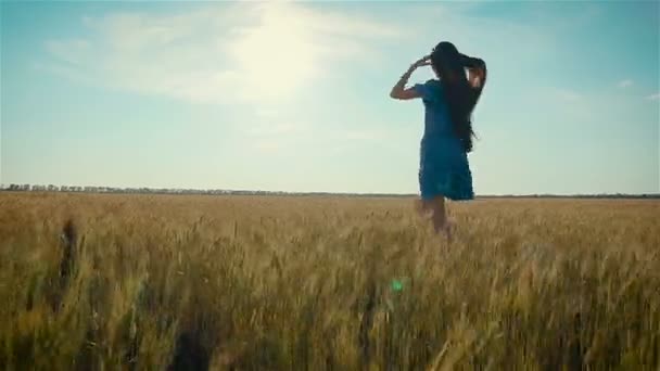 Mulher bonita com sorriso encantador caminhando pelo campo agronômico na cena rural — Vídeo de Stock