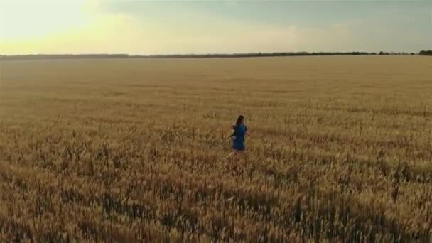 Et flybilde av en ung jente løper over jordet. Vakker, fri kvinne som nyter naturen i varm sol i hvete på solnedgangsbakgrunn – stockvideo