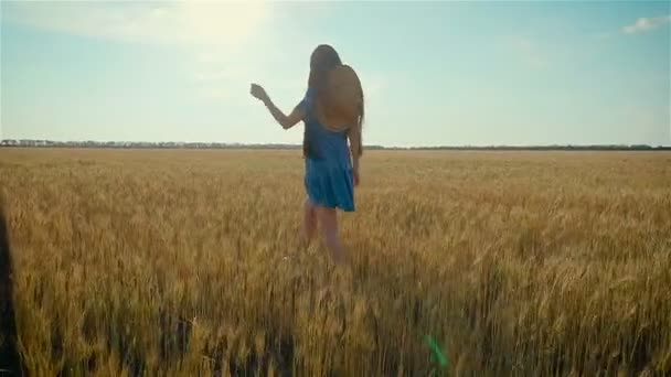 Νεαρή μακρυμάλλης γυναίκα με καπέλο που περπατά σε κίτρινο χωράφι με σιτάρι, ενώ τα ταξίδια και την περιπέτεια — Αρχείο Βίντεο