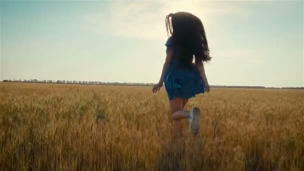 Jeune fille courir joyeusement à travers le champ de blé ou d'orge avec de longs cheveux noirs au coucher du soleil au ralenti — Video