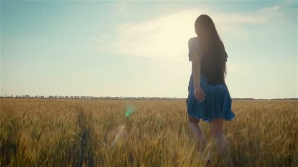 Kvinna går längs jordbruksfält som solen går ner i fjärran och hennes hår blåser i vinden i slow motion — Stockvideo