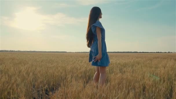 Mujer bonita en tela elegante caminando en el campo y girando al atardecer con una sonrisa encantadora — Vídeo de stock