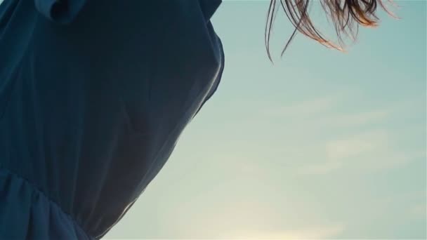Gros plan arrière vue de la femme brune cheveux tendres mouvement vent d'air au ralenti en arrière-plan du ciel bleu — Video
