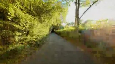 İngiltere 'de güneşli orman yolunda bisiklet sürüyorum POV. Yapraklı patika boyunca parlak sabah ışığı altında bisiklet sürmek, bakış açısı. Ağaçların arasından geçen güneş ışınları gibi pedal çeviriyorlar. Dalların arasından akan altın güneş ışığıyla huzurlu bir yolda ilerliyoruz.