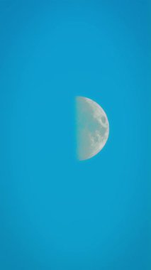 Ay gün ışığında, yüzeyin yarısı aydınlanmış bir şekilde beliriyor. Ay küresi mavi arkaplanda parlıyor kraterler görünür, dikey yönelimli. Yarım ay parlak gökyüzünde parıldıyor. Detaylı yüzey dokusu ve yumuşak ışığı yansıtıyor.