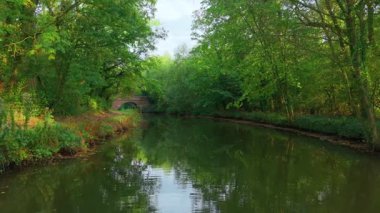 Nehir, sudaki ağaçların yansımasıyla yeşil orman arasında akar. Her iki kıyıda da sakin suları ve ağaçları olan sonbahar vahşi nehri. Ormanda akan akarsu, etrafını çevreleyen yeşillikleri yansıtan su yüzeyi gibidir.