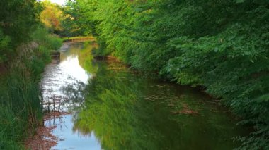 Güneşli nehir yüzeyde parlak yeşilliği ve yumuşak sonbahar renklerini yansıtıyor. Sonbahar boyunca durgun suyla akan nehir manzarası sonsuz bir aura ile. Aydınlatılmış dereler orman bitkilerini yansıtıyor ve sudaki mevsimlik altın renkleri yansıtıyor.